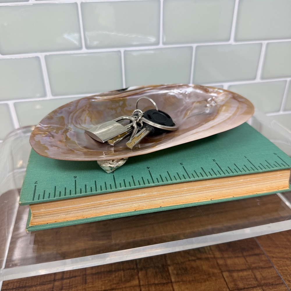 Mother of Pearl Shell Catchall Dish | Coastal Shell Craft Trinket Tray Feet